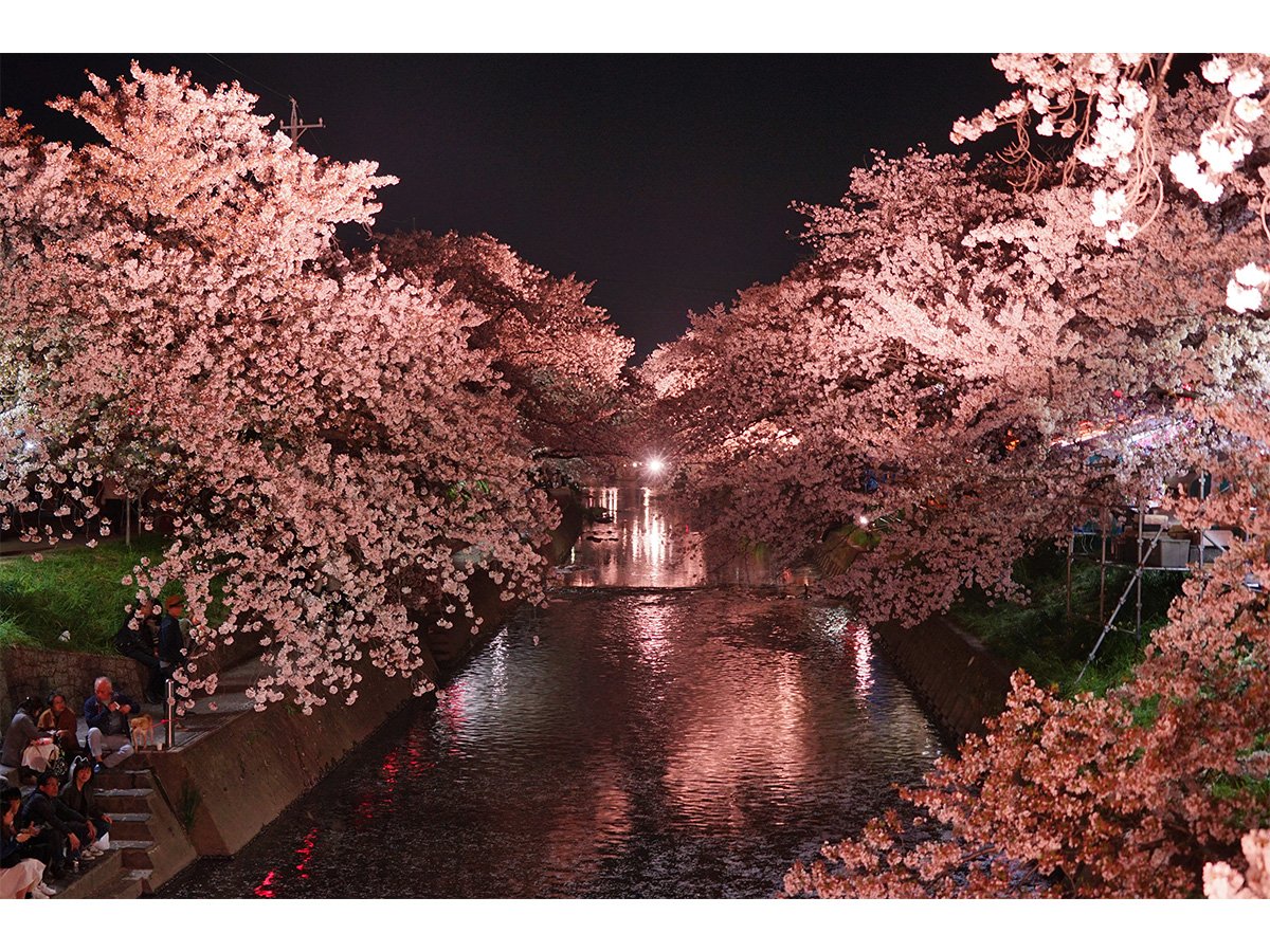 ⛩️ 이시우라 신사(石浦神社) 이미지 11